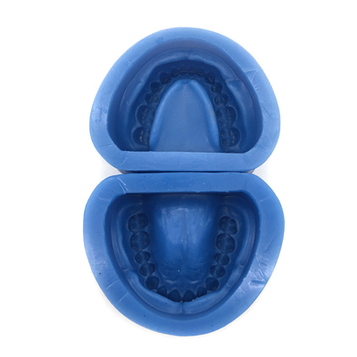 China High Quality Silicon Rubber Mould of Partial Edentulous Model / Standard Rubber Mould / Dental Teeth Model supplier