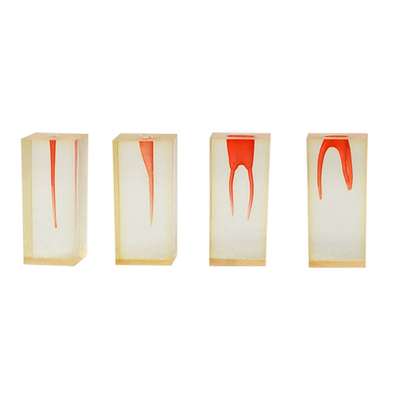 China Dental Laboratory Unit Simulator Products Resin Endo Training Block Dental Canal Tooth Root Model 4pcs/set supplier