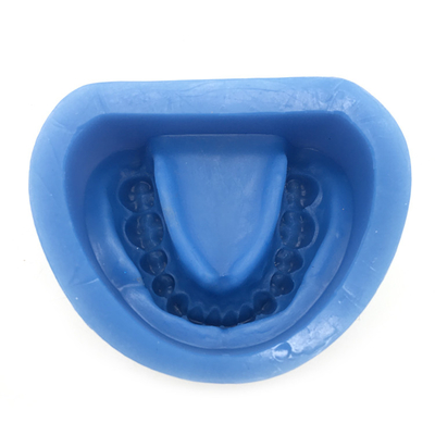 High Quality Silicon Rubber Mould of Partial Edentulous Model / Standard Rubber Mould / Dental Teeth Model supplier