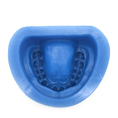 High Quality Silicon Rubber Mould of Partial Edentulous Model / Standard Rubber Mould / Dental Teeth Model supplier